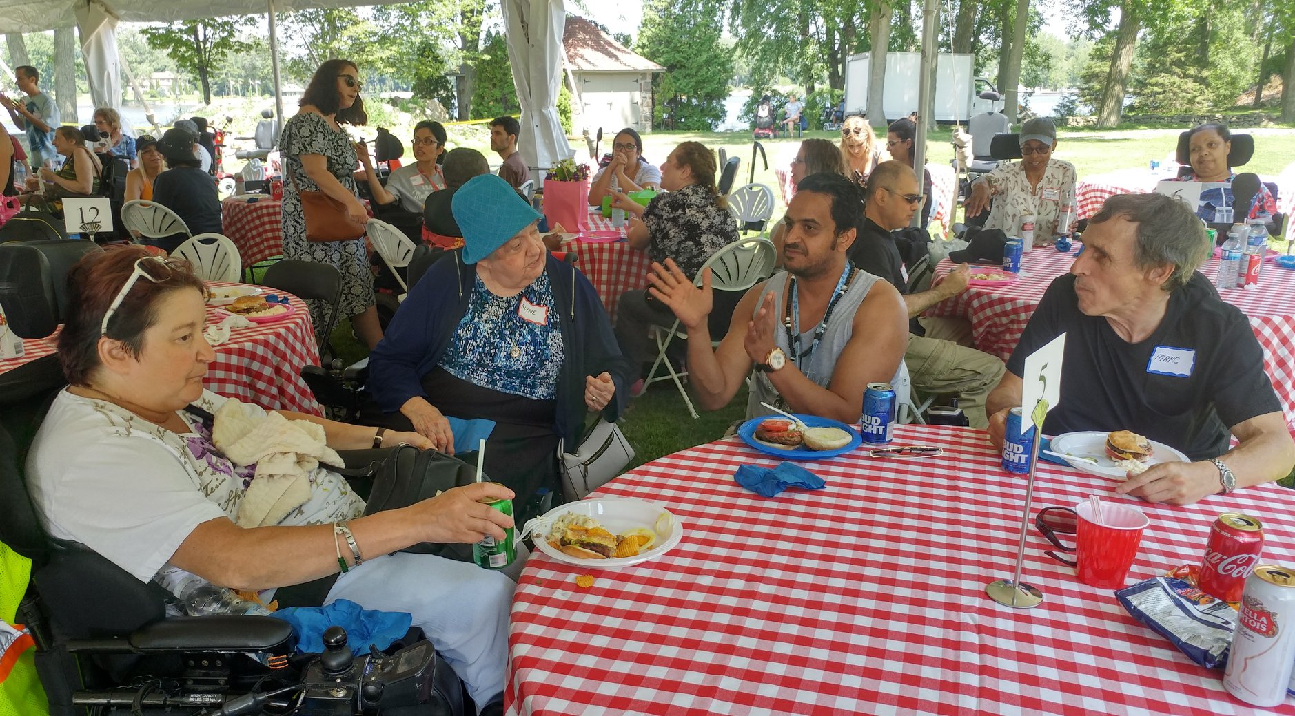 Outdoor community picnic and summer gathering